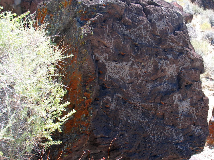 Notice the front facing horns on the sheep in this panel.  This characteristic provides the definitive link to the Coso style found further to the south in the heart of the Coso petroglyph sites.