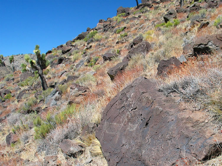 Numerous other nice panels can be found on the upper reaches of the hillside.