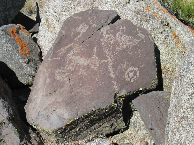 Eventually, after a bit of sleuthing around, we do indeed find a location that boasts numerous petroglyph panels of both the earlier abstract style as well as the Coso style.