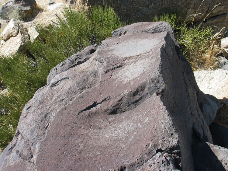 There are several worn areas on this boulder that appear to be from use as grinding slicks.