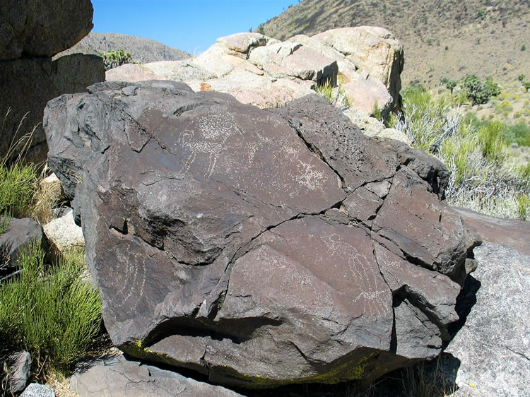 There are several worn areas on this boulder that appear to be from use as grinding slicks.