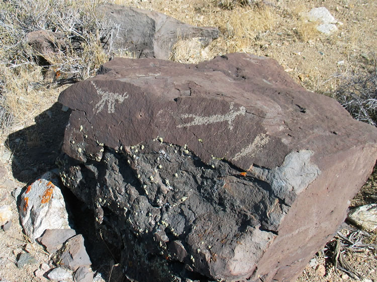 A short distance away, though, we realize that there are a couple of outlying boulders that contain some really interesting glyphs.  This first small boulder has a possible mountain lion depiction as well as an anthropomorph representation.