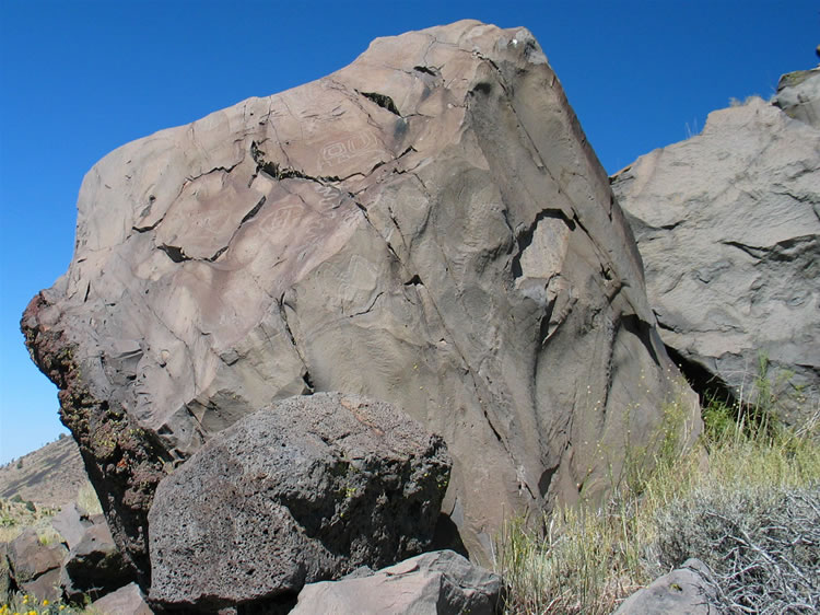 Look carefully and you should be able to see a few on this boulder.