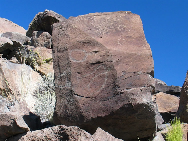 The glyphs on this reddish rock provide more contrast and are more clearly viewed.