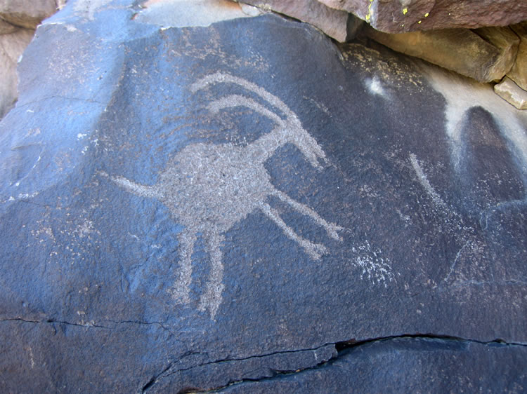 This bighorn depiction is quite distinctive.