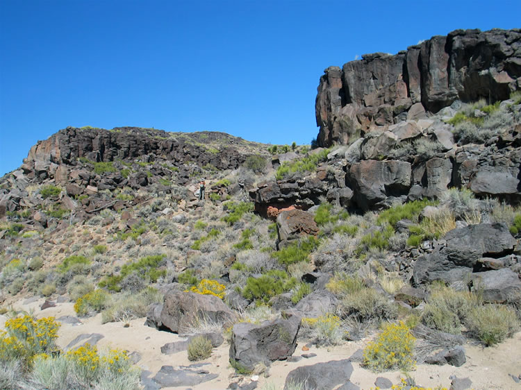 Lastly, we return to the sunny side of the wash to explore a hanging canyon that looks interesting.