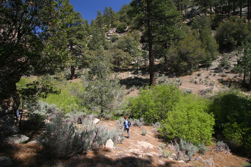 Soon, as you can see by Niki down below, we're all back on the trail again.