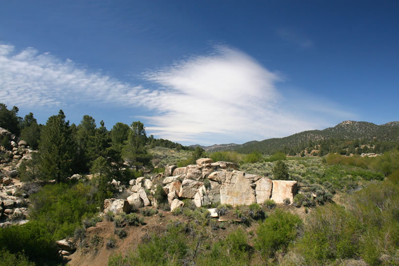 This view, taken from the ledge, is of the nearby meadow which is the source of the creek we've been hiking along.