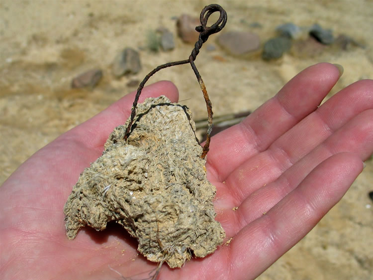 Niki finds this metal clip with a chunk of fibrous material attached.  What is it?  Any ideas?