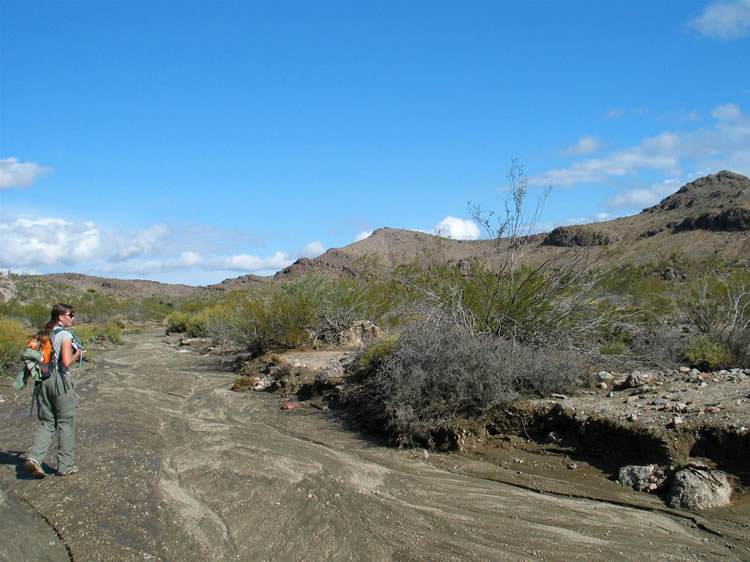 It's such a beautiful morning that we can't wait to head up the still soggy wash and see what we can find.