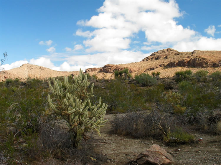 As a few clouds begin to build, we leave the wash to check out a nearby hill.