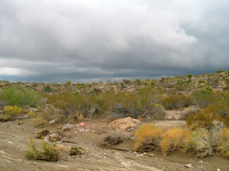 We hike steadily, only stopping a couple of times to capture the low, moisture laden clouds as they roll overhead.