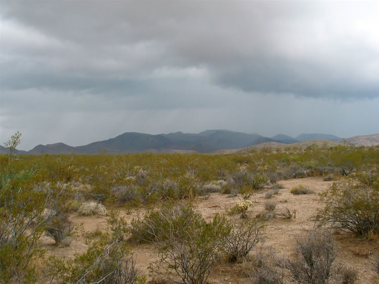 We're only a few hundred yards from the truck when the first large drops begin to fall.  This shot shows the wispy veils of rain descending to the desert floor.