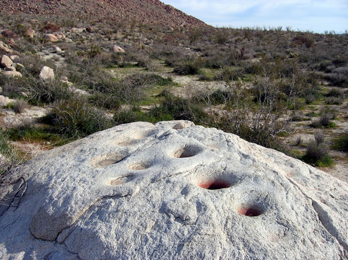 Hey, I think we found a village site.