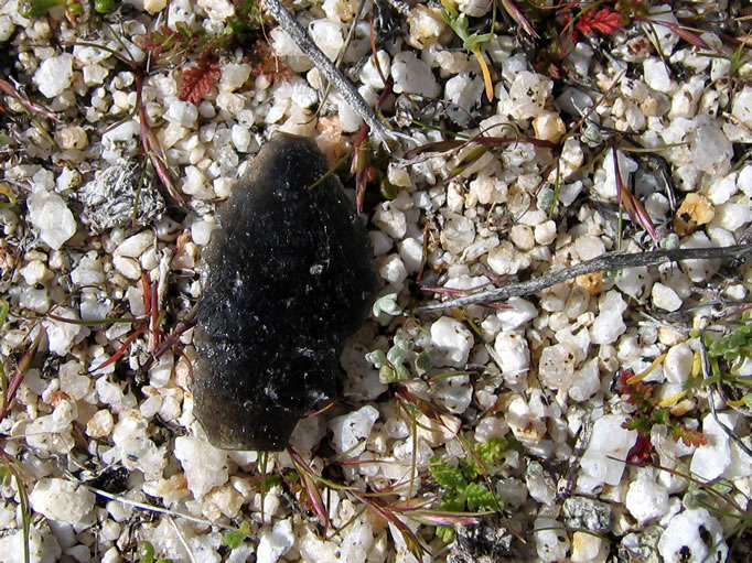 Jamie stumbles upon what appears to be a delicate obsidian arrowhead.