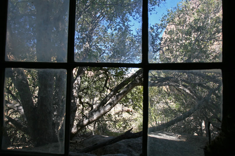 Through the window panes comes a soft, cool light that's filtered through the branches of the large oak that stands outside.