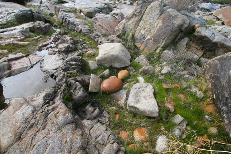 Another extremely unique site still lies hidden somewhere nearby and it's back to hiking again.  Here you can see two more examples of the polished and rounded "Easter egg rocks."