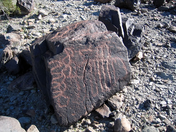 One of many petroglyph boulders on the south side of the main wash.