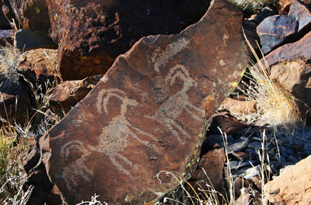 bighorn petroglyphs