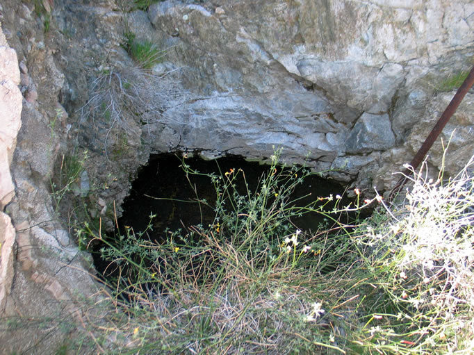 In spite of a very dry winter, there is still water in the well.