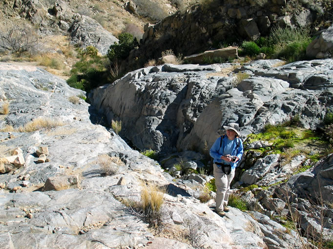 This rocky cleft proves to be the source of the water for the little stream.