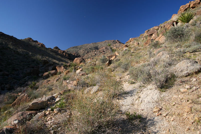 The early morning light casts its magic on the scenery along the trail.