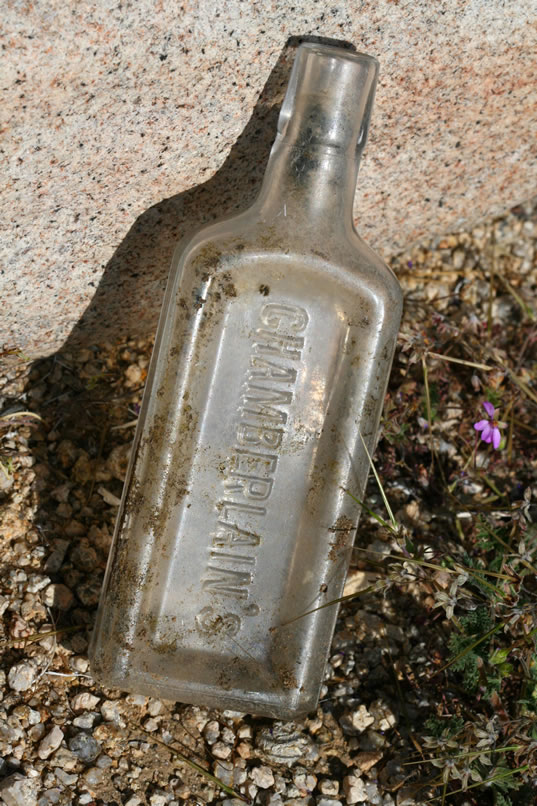 While munching away on a home made energy bar, Jamie spies an old medicine bottle under a bush.  Here's a posed photo.