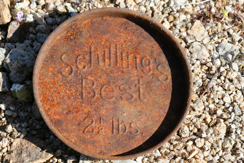 That find turns breakfast into a walking event as we eat and explore around the area a bit.  Here's an old coffee tin lid.