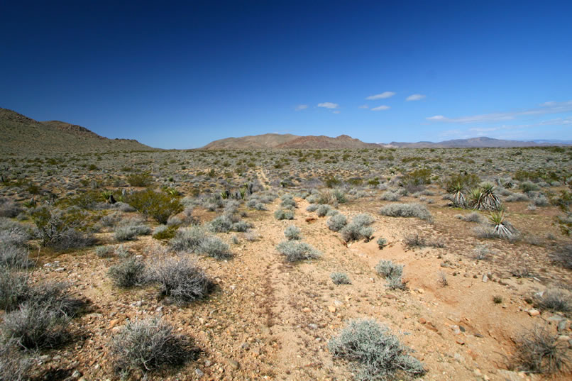 Here we've rejoined the old Iron Chief road and and will be heading along it toward the pass in the distant hills.