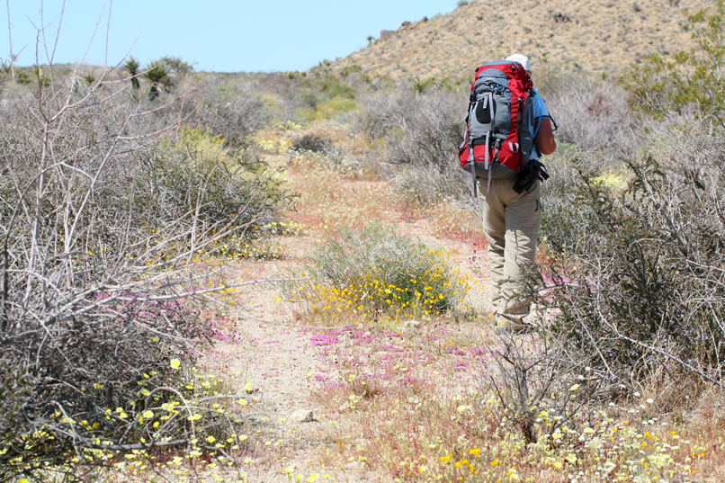 By the time we reach the top of the pass, we find that we've almost finished up all of our water!  That's actually good timing because our packs are now super light and the small amount we have left should be plenty for the last few miles.