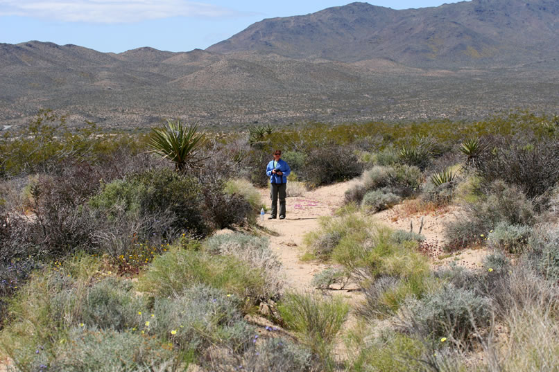 We take one last break to finish off the remainder of our water and take a few more wildflower photos.