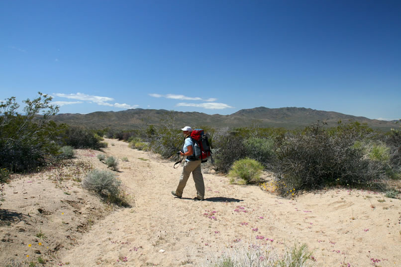 We shoulder our packs again for the last short stretch.  This has turned out to be a fantastic adventure but the miles and the heat have taken their toll and we're ready to find our campsite and kick back.