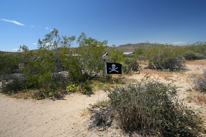 Yep, Mohave's flying the Jolly Roger complete with desert parrot!  It's a welcome sight!