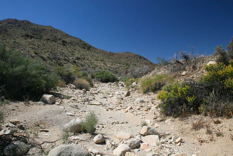 The road also begins to lose its distinct nature and we almost lose sight of it as we cross this wash.  A few minutes of scouting around on the opposite bank finally locate its dim track.