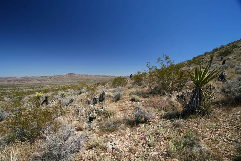 We've covered a lot of ground and none of it has been easy.  Right now we're contouring around this hill and aren't too far from the site of the prospect.