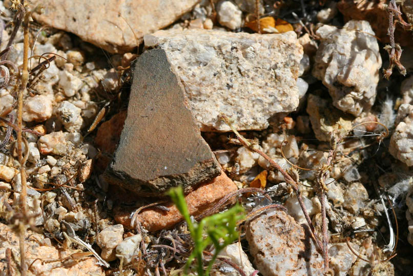 Another pottery fragment.  Since both the Indians and prospectors seem to be in agreement about this being a good campsite, we decide that unless something better turns up we'll set up camp here tonight as well.