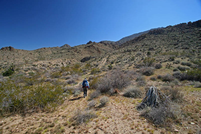 The location of Conejo Well and the site where Lee Lyons had built his cabin are further up the canyon so we continue to follow the faint tracks of the road.