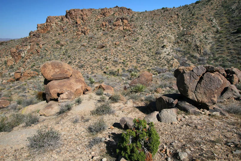 This photo and the next show the general area where we found the pottery.