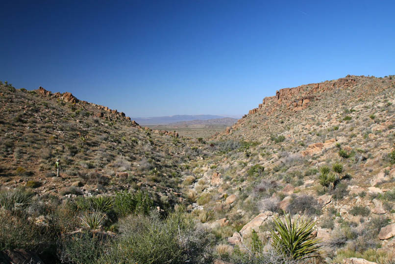 Niki explores a bit on the hill above the gravel bar and gets a nice photo from there looking back down the canyon.