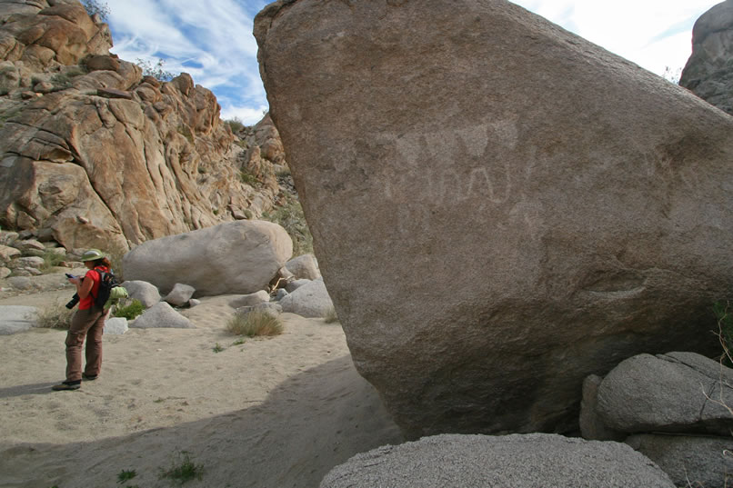 The up-canyon side of the picto boulder also has some petroglyphs on it.