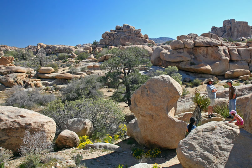 Besides the enigmatic "Boulder Room," the Hidden Valley area is worth visiting just for the scenery.