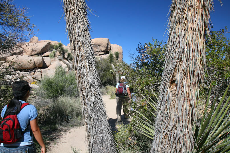 We've now shifted into pictograph hunting mode and begin our hike into the Wonderland of Rocks area.