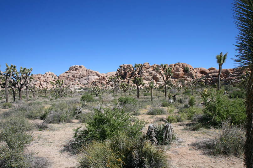 The Wonderland of Rocks is a 12 square mile maze of quartz monzonite boulders and rock formations.