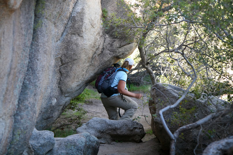 Hidden away in this maze are numerous rock art sites.  Finding them, though, requires lots of hard work and patience.  That's where David's expertise comes in handy!