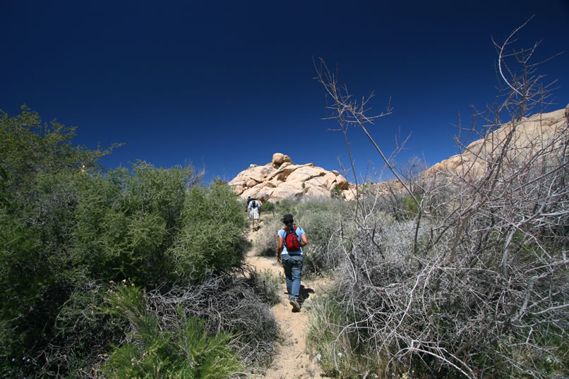 Once again we find ourselves following David.  Our goal is yet another secluded pictograph shelter.