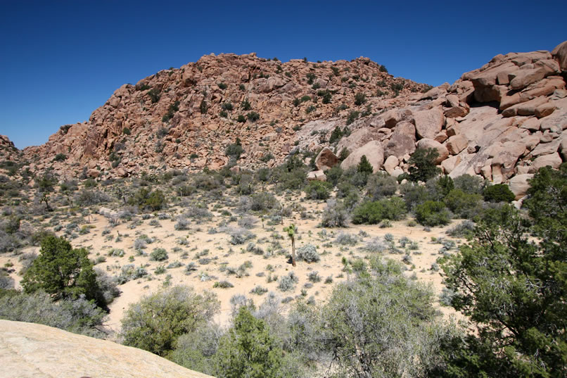 This is a view down from the lip of the shelter to the clearing below.