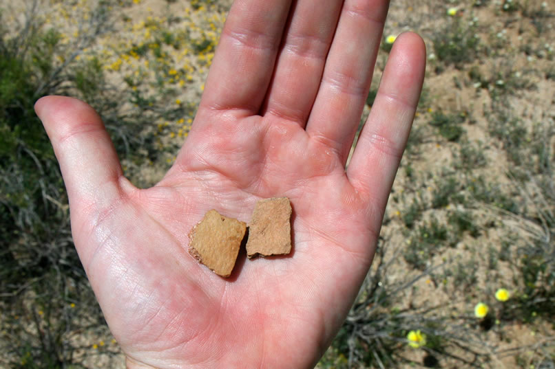 Along the way we encounter more evidence of the substantial Indian use of the area in the form of pottery fragments.