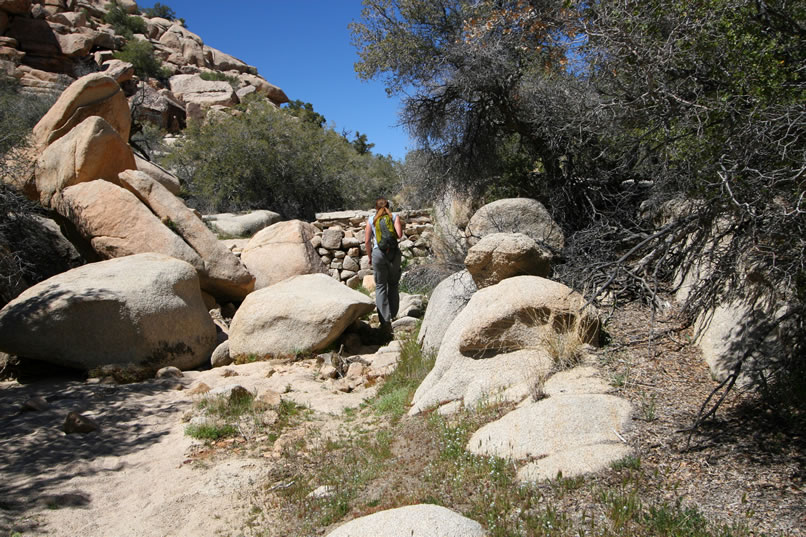 There are lots of old rock dams that formed part of a water collection system for the early ranches in the area.