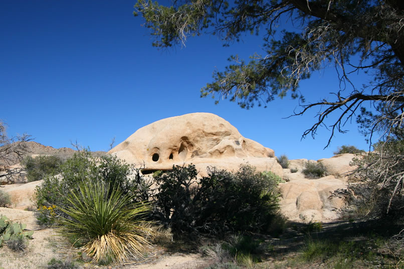 Doesn't this natural rock formation look an awful lot like Daffy Duck?