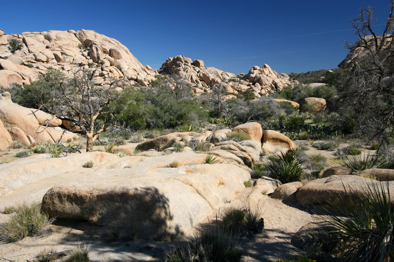 Here's a look at some typical terrain as we follow the little valleys between the boulder piles. 